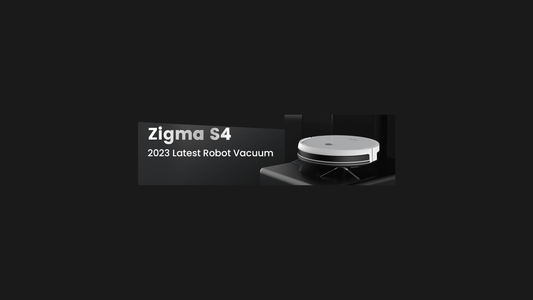 Zigma Brand Concept