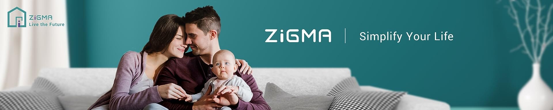 About Zigma